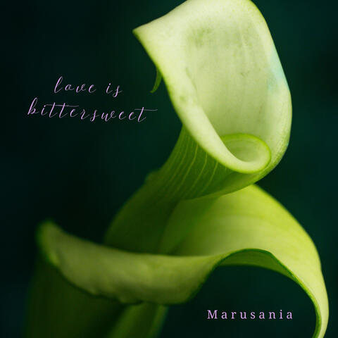 Love is Bittersweet