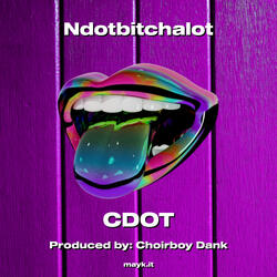 Ndotbitchalot