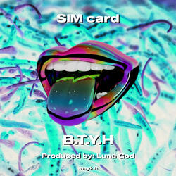 SIM card