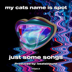 my cats name is spot