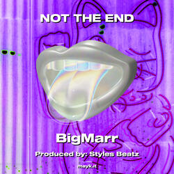 NOT THE END