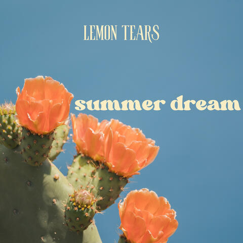 summer dream