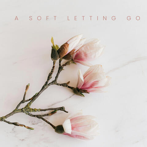 A Soft Letting Go