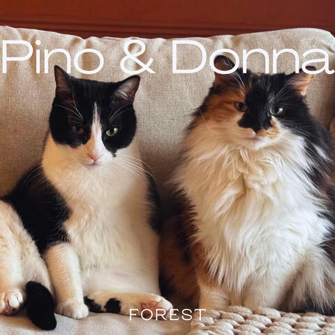 Pino & Donna