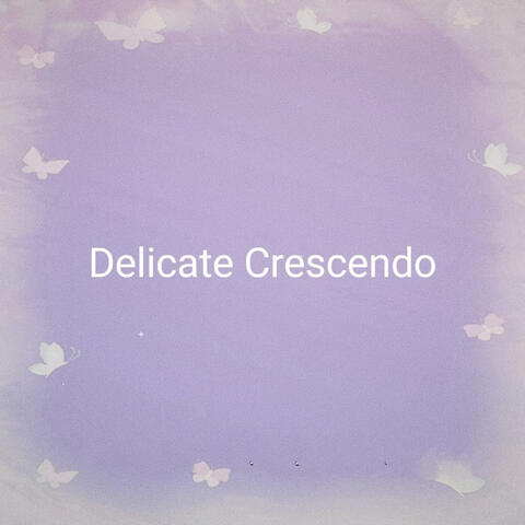 Delicate Crescendo