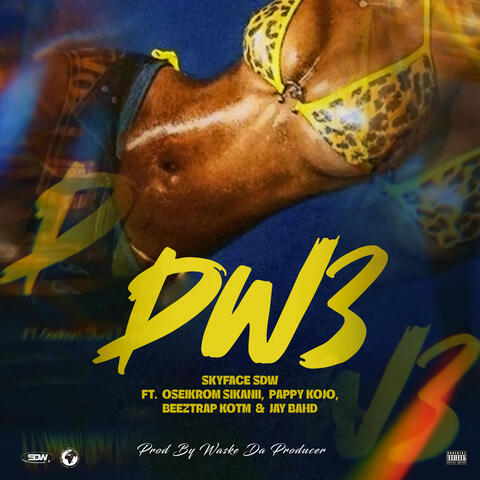DW3