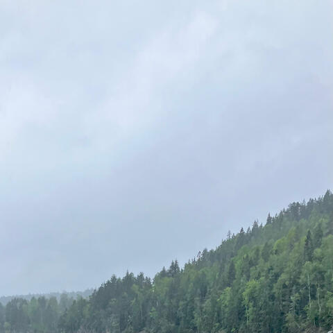 ørred