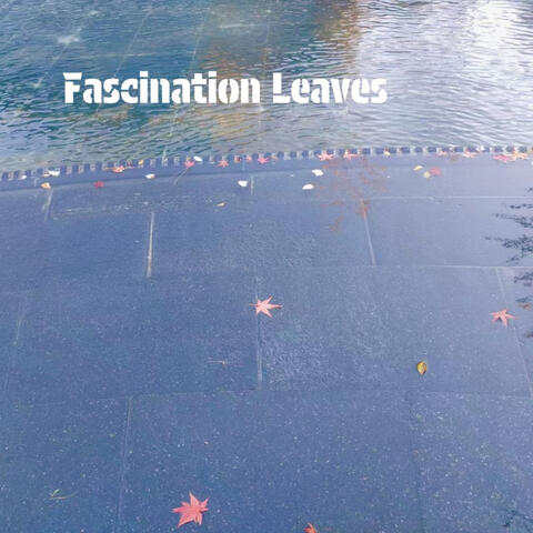 Fascination Leaves