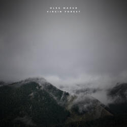 Virgin Forest