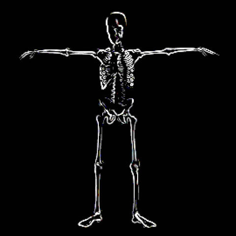 SKELETON DANCE