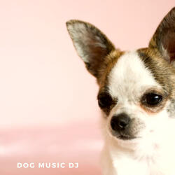 Relaxing Music For Dogs