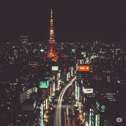 星降る夜の秘密