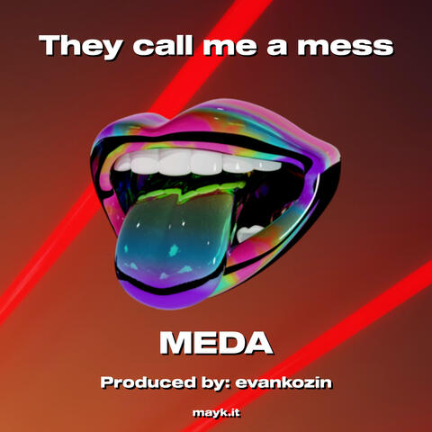 They call me a mess
