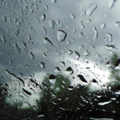 August Rain