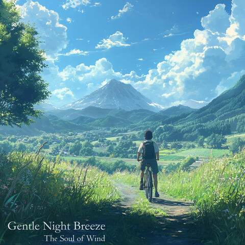 Gentle Night Breeze