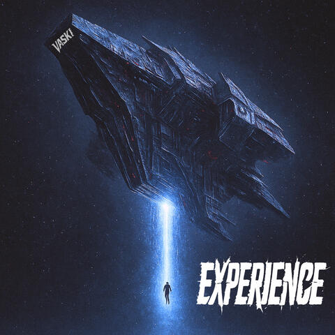 Experience