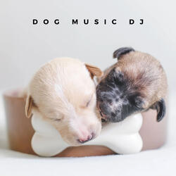 The Best Music For Puppies
