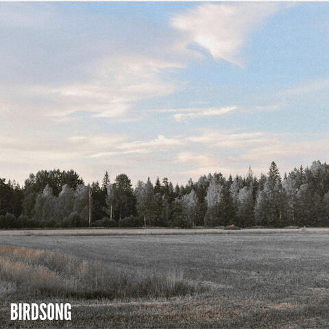 birdsong