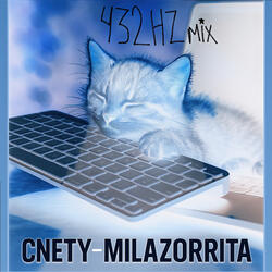 Milazorrita (432Hz Mix)