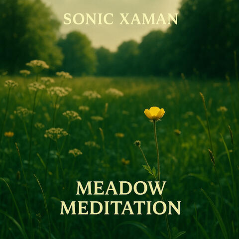 Meadow Meditation