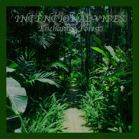 Enchanted Forest