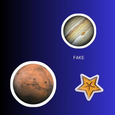 Fake