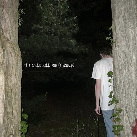 IF I COULD KILL YOU (I WOULD)