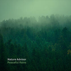 Peaceful Rains