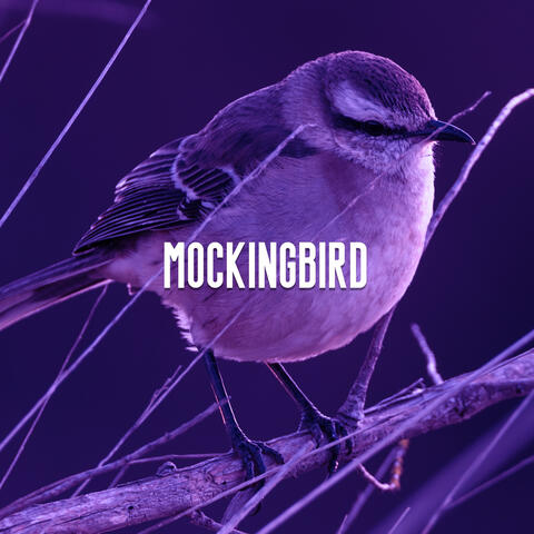 Mockingbird