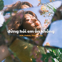 Đừng Hỏi Em Ổn Không (Remix) - Beat