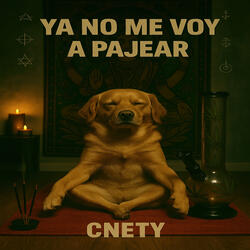 Ya No Me Voy a Pajear