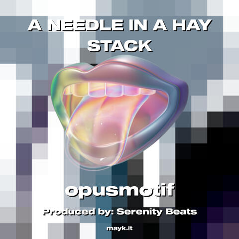 A NEEDLE IN A HAY STACK