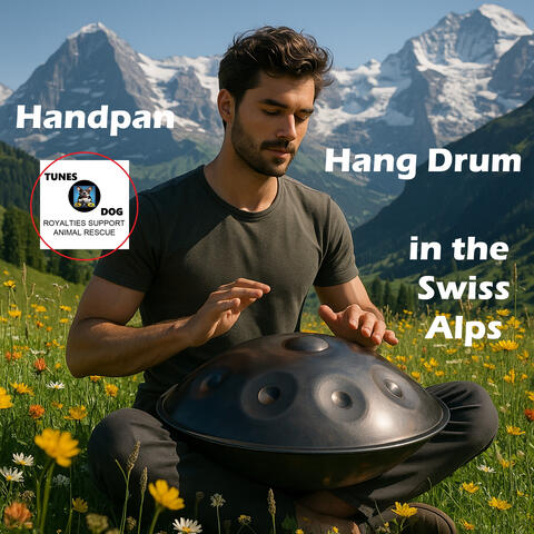 Handpan Hang Drum in the Swiss Alps