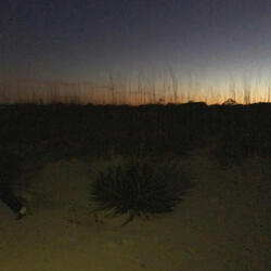 WHYSEVERYTHINGFEELWEIRD