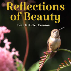 Reflections of Beauty
