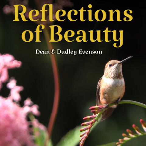 Reflections of Beauty