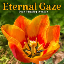 Eternal Gaze