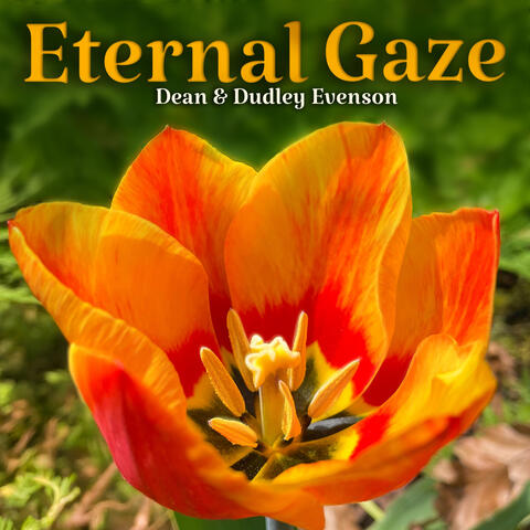 Eternal Gaze
