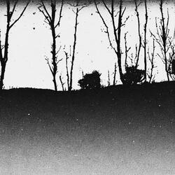 where there is light, shadows lurk