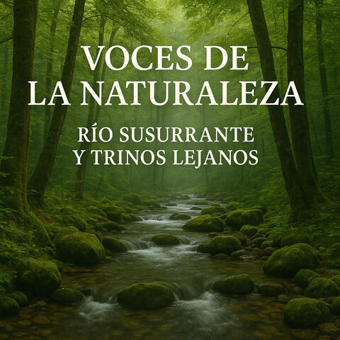 Voces de la Naturaleza, Río Susurrante y Trinos Lejanos