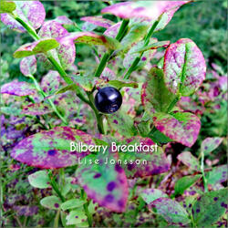 Bilberry Breakfast