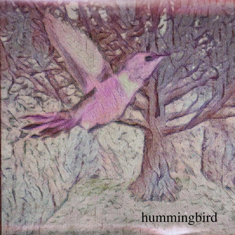 Hummingbird