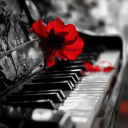 Ashes of a Love Song