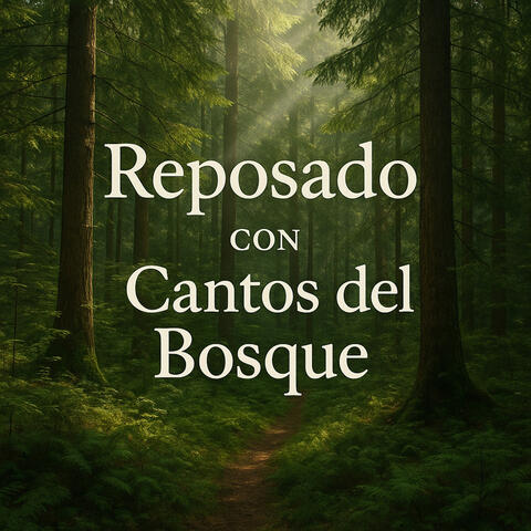 Reposado con Cantos del Bosque