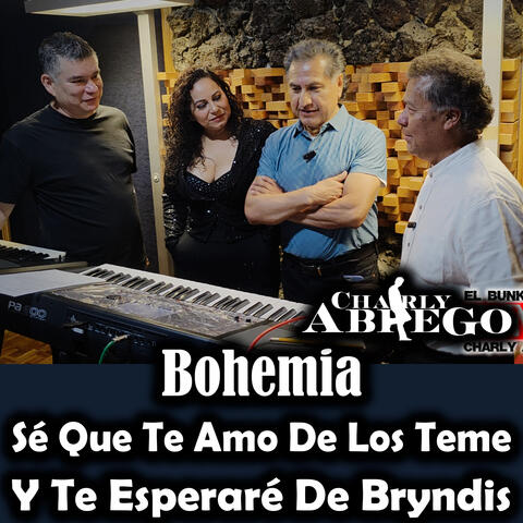 Bohemia Sé Que Te Amo De Los Teme Y Te Esperaré De Bryndis