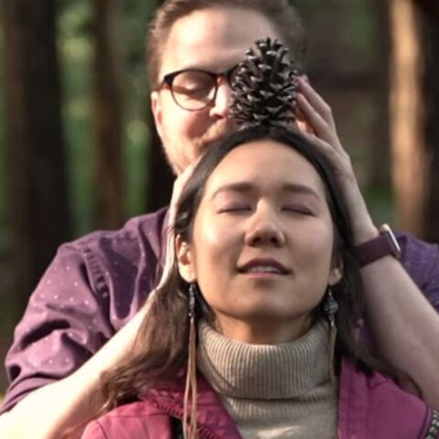 Satisfying Pinecone ASMR