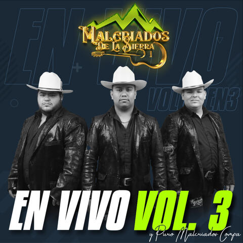 En Vivo, Vol. 3