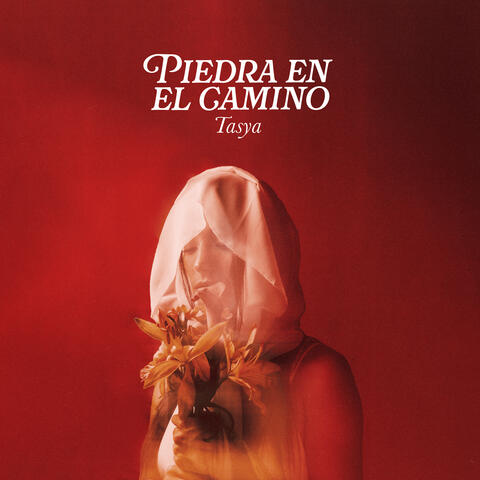 Piedra En El Camino