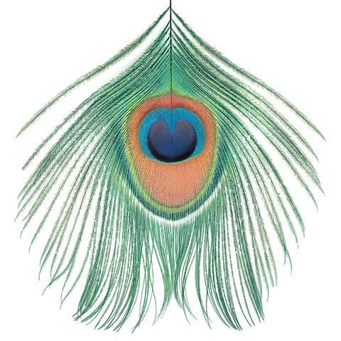 Apple Venus, Vol. 1