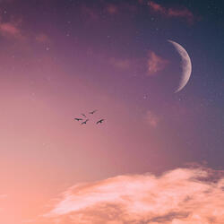 To the Moon